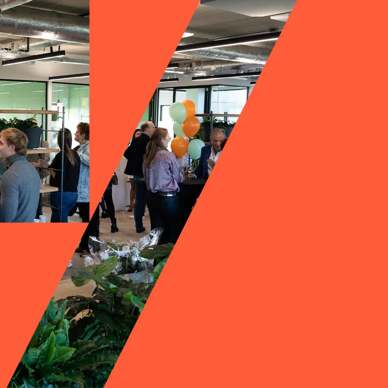 blogbeeld-YW feed-image